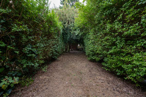 Photo 21- click for photo gallery